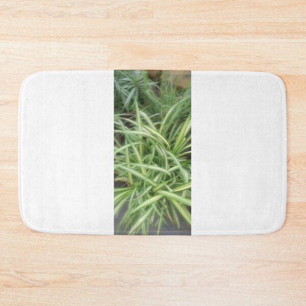 Item preview, Fresh air plant designed and sold by TruptiLokhande7.