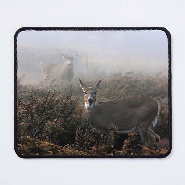 Item preview, The rut is on! - White-tailed deer in fog designed and sold by James Cumming.