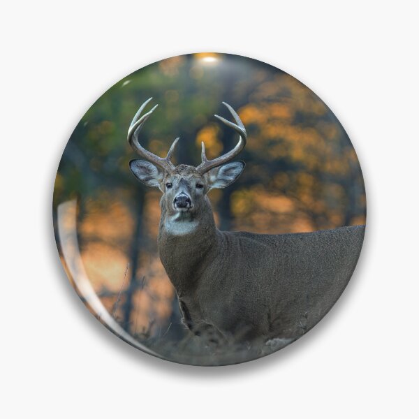 Item preview, White-tailed Deer at Sunset designed and sold by James Cumming.