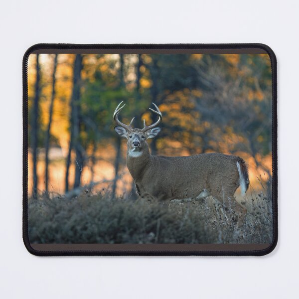 Item preview, White-tailed Deer at Sunset designed and sold by James Cumming.