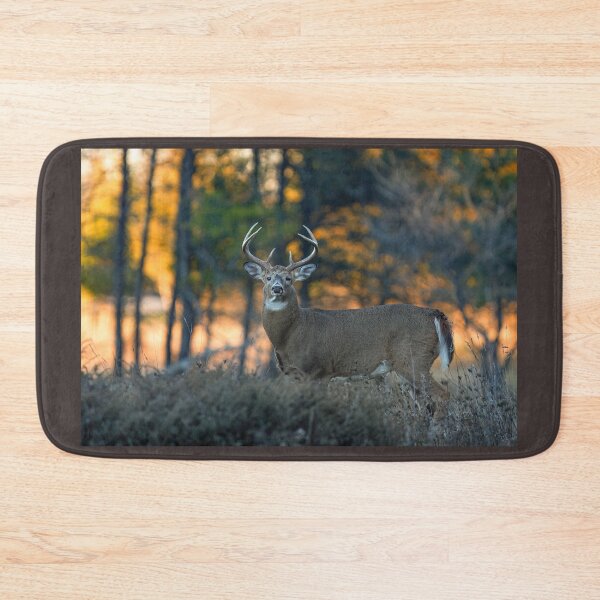 Item preview, White-tailed Deer at Sunset designed and sold by James Cumming.
