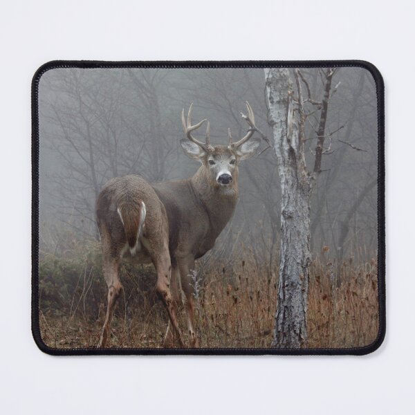 Item preview, White-tailed Buck in Fog  designed and sold by James Cumming.