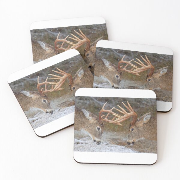 Item preview, Clash of the Titans - White-tailed deer designed and sold by James Cumming.