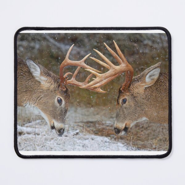 Item preview, Clash of the Titans - White-tailed deer designed and sold by James Cumming.