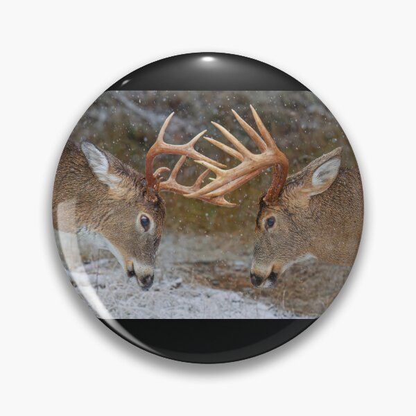 Item preview, Clash of the Titans - White-tailed deer designed and sold by James Cumming.