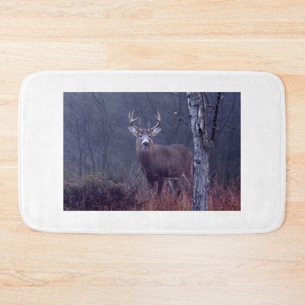 Item preview, King of the Forest - White-tailed Deer  designed and sold by James Cumming.