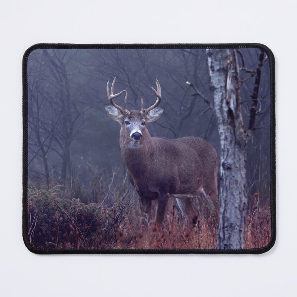 Item preview, King of the Forest - White-tailed Deer  designed and sold by James Cumming.