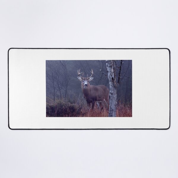 Item preview, King of the Forest - White-tailed Deer  designed and sold by James Cumming.