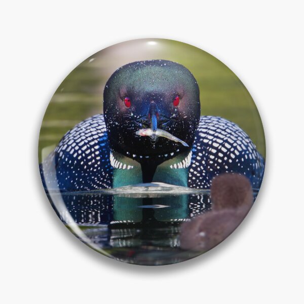 Item preview, Take-out finally arrives - Common Loon - Buck Lake, Ontario designed and sold by James Cumming.