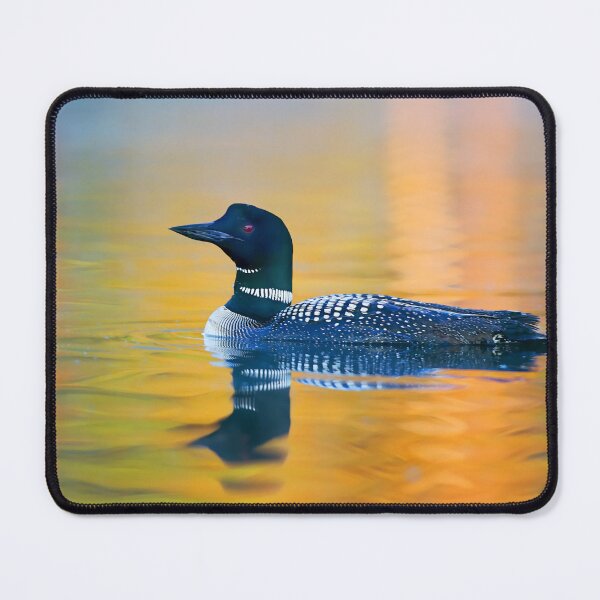 Item preview, Rainbow Loon - Common Loon designed and sold by James Cumming.