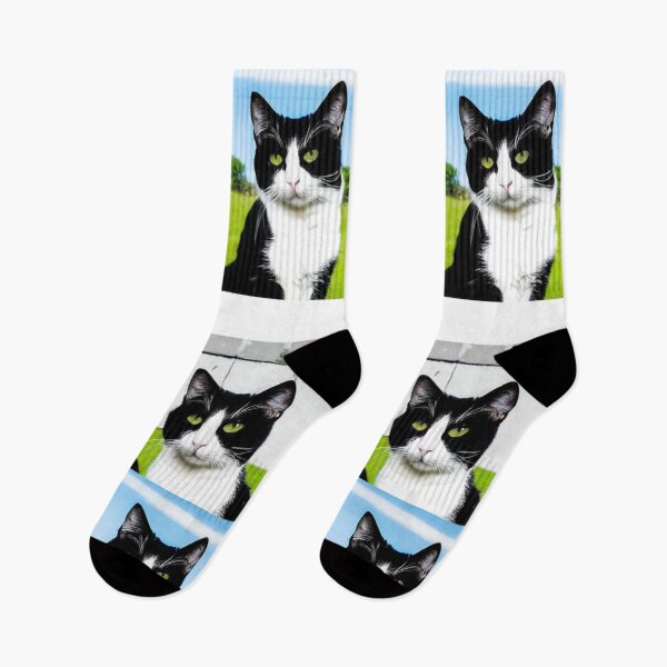 Item preview, Art - Pop Art Style Cat, Composition in a 2x2 Grid designed and sold by DoodyPets.