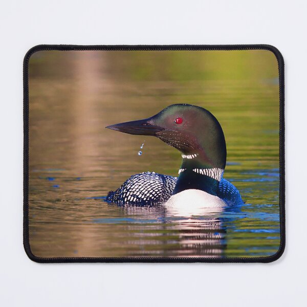 Item preview, Common Loon designed and sold by James Cumming.