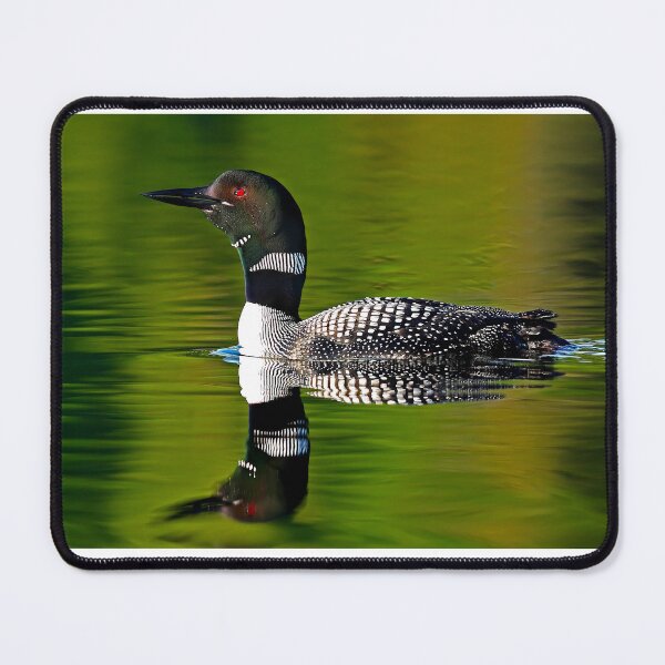 Item preview, Common Loon designed and sold by James Cumming.