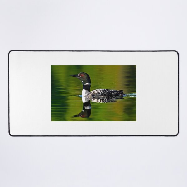 Item preview, Common Loon designed and sold by James Cumming.