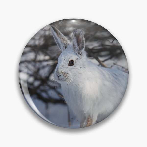 Item preview, Snowshoe hare designed and sold by James Cumming.