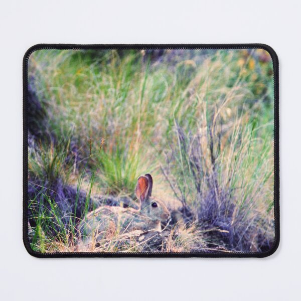 Item preview, Rabbit Hidden in Grass designed and sold by jklune.