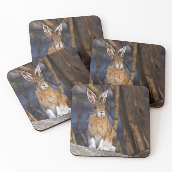 Item preview, Hare to the Throne - Snowshoe Hare designed and sold by James Cumming.