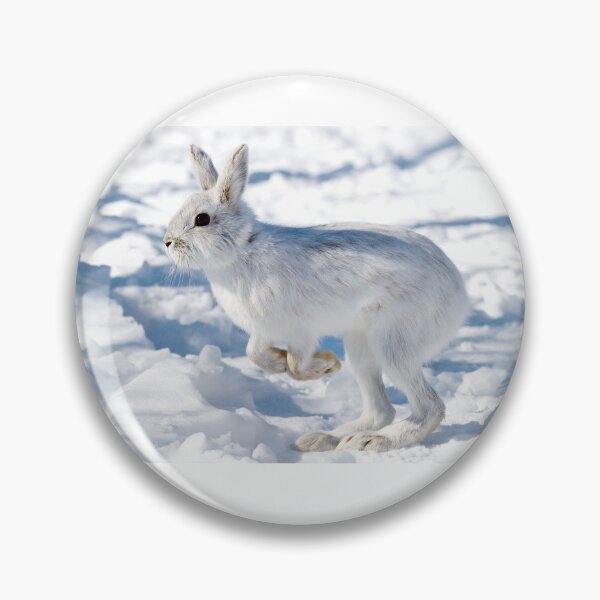 Item preview, Kangaroo Rabbit - Snowshoe Hare designed and sold by James Cumming.