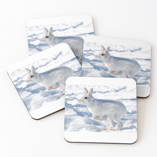 Item preview, Kangaroo Rabbit - Snowshoe Hare designed and sold by James Cumming.