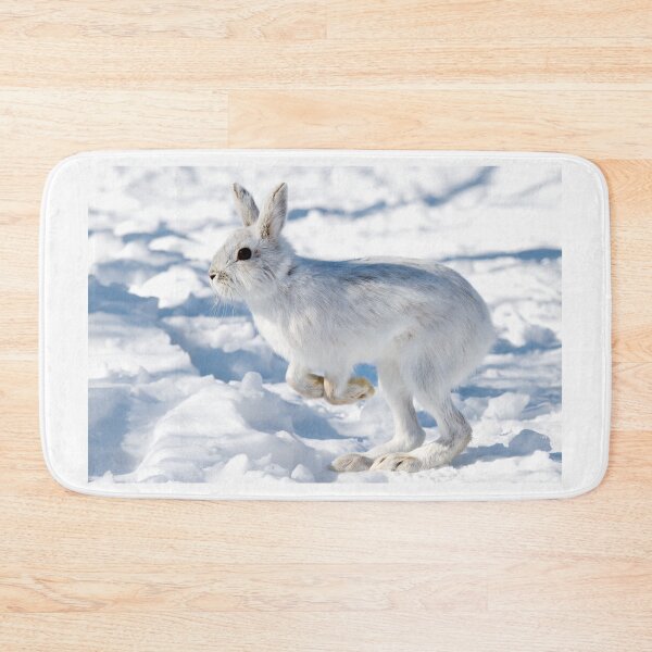 Item preview, Kangaroo Rabbit - Snowshoe Hare designed and sold by James Cumming.