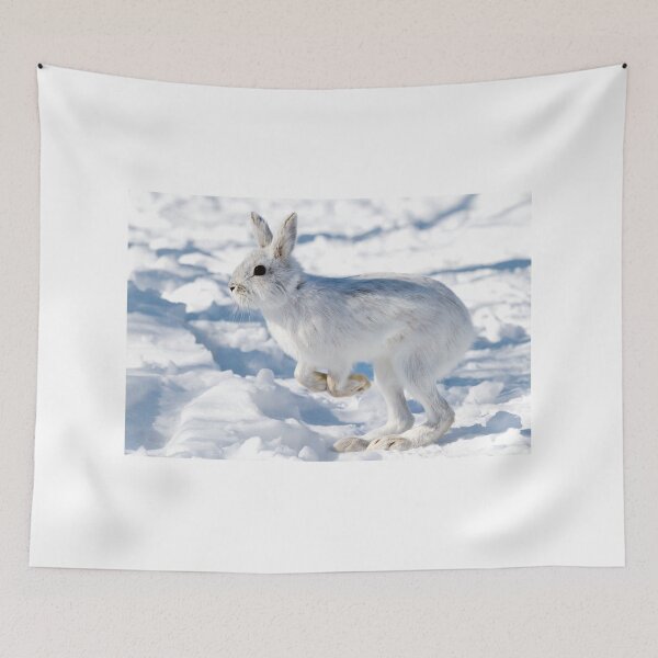 Item preview, Kangaroo Rabbit - Snowshoe Hare designed and sold by James Cumming.