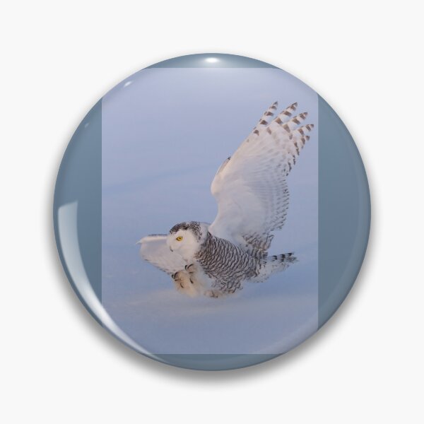 Item preview, Touchdown - Snowy Owl designed and sold by James Cumming.