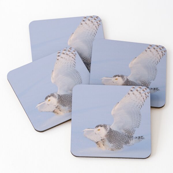Item preview, Touchdown - Snowy Owl designed and sold by James Cumming.