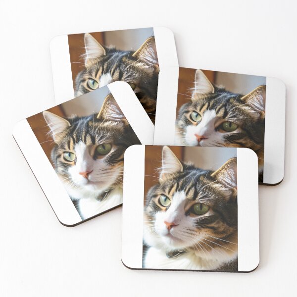 Item preview, Animals - Tricolor Cat, Piercing Gaze and Feline Softness designed and sold by DoodyPets.