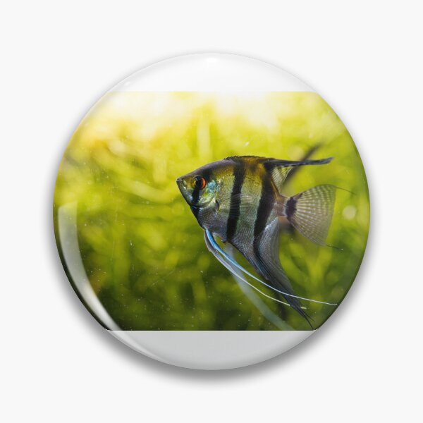 Item preview, Fish designed and sold by XaviFotografia.