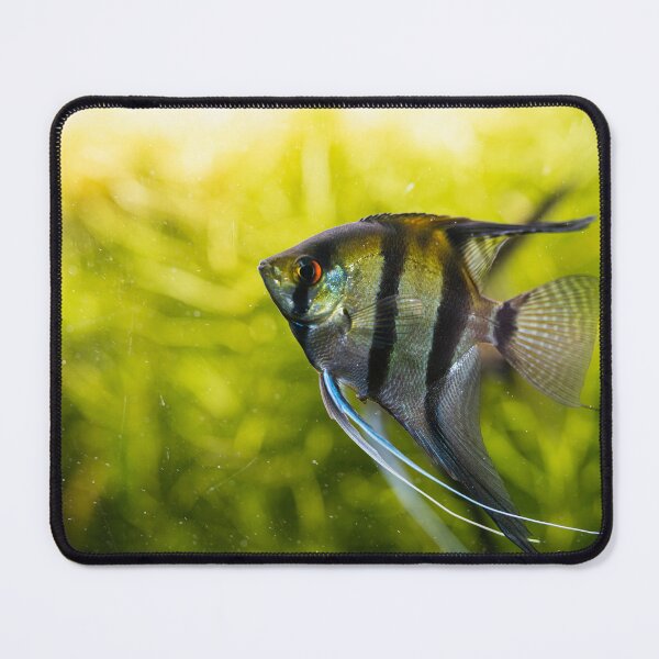 Item preview, Fish designed and sold by XaviFotografia.