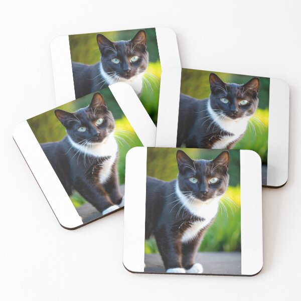 Item preview, Animals - Tuxedo Cat with Blue-Green Eyes, Cinematic Animal Portrait designed and sold by DoodyPets.