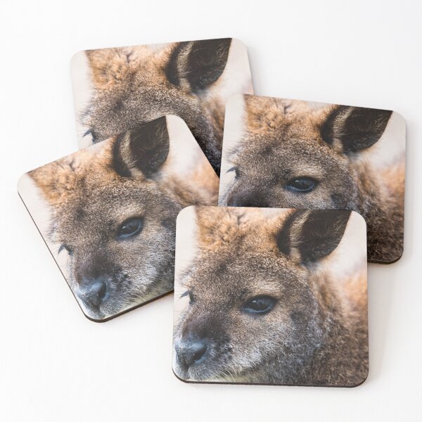 Item preview, Wallaby designed and sold by XaviFotografia.