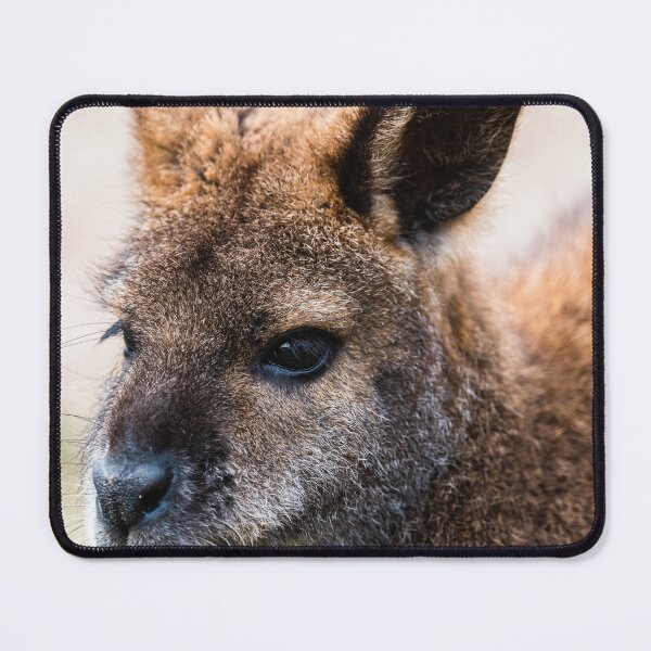 Item preview, Wallaby designed and sold by XaviFotografia.