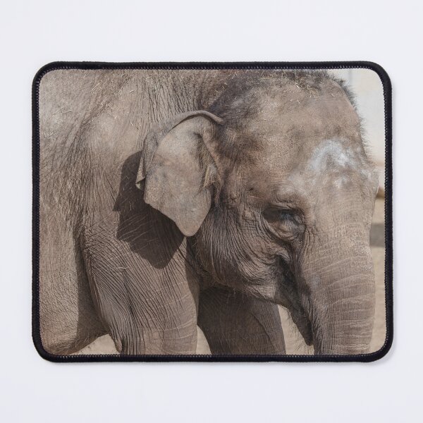Item preview, Elephant designed and sold by XaviFotografia.