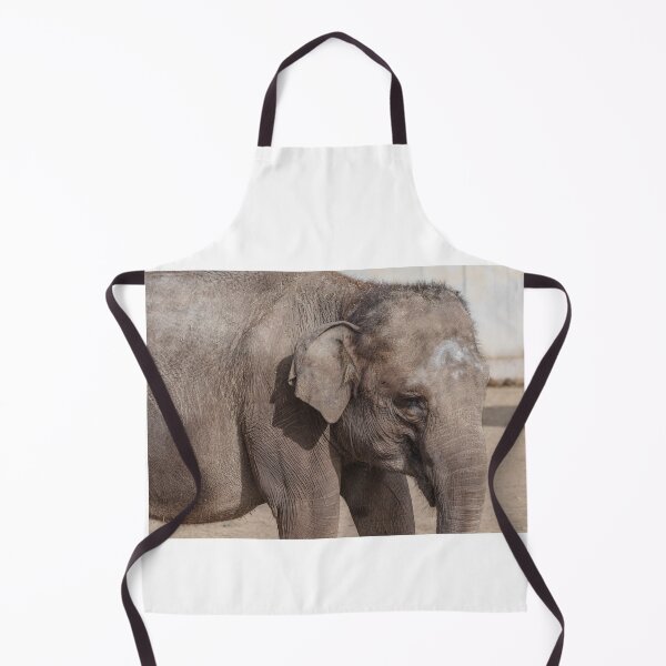 Item preview, Elephant designed and sold by XaviFotografia.