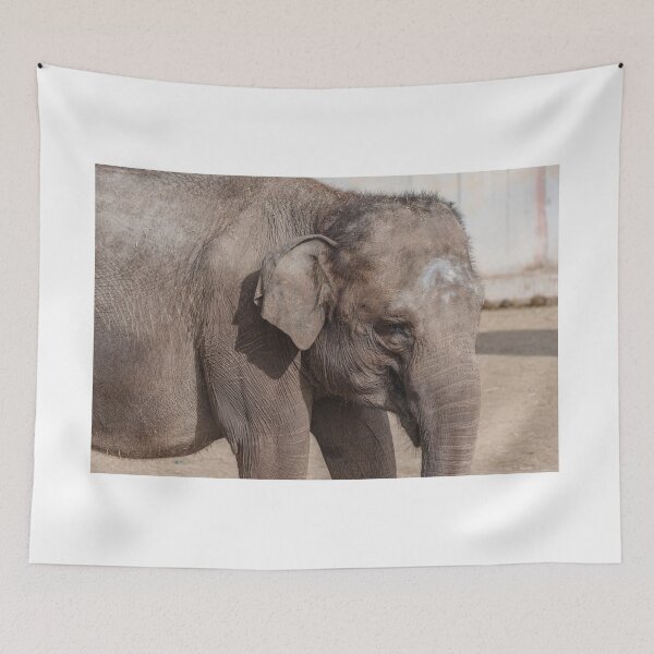 Item preview, Elephant designed and sold by XaviFotografia.