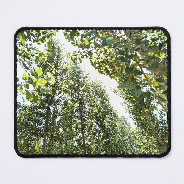 Item preview, Summer light designed and sold by SanerPhoto88.