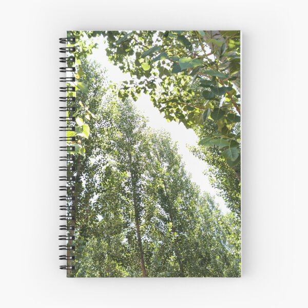 Item preview, Summer light designed and sold by SanerPhoto88.
