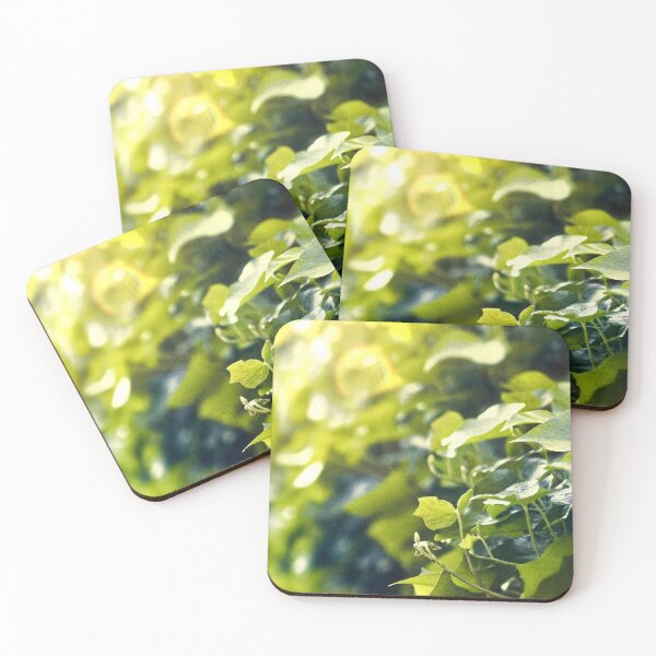 Item preview, Hiedra al sol designed and sold by Riyou163.