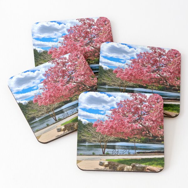 Item preview, Beautiful Flowering Cherry Tree in Cogshall Park designed and sold by BostonArcImage.