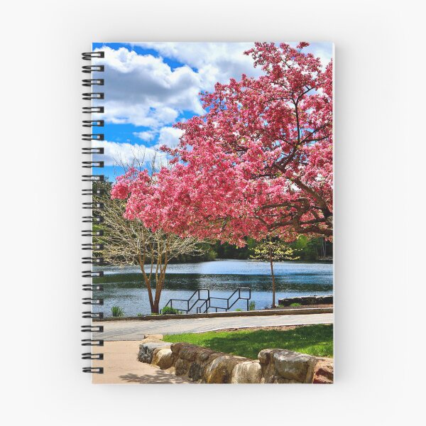 Item preview, Beautiful Flowering Cherry Tree in Cogshall Park designed and sold by BostonArcImage.