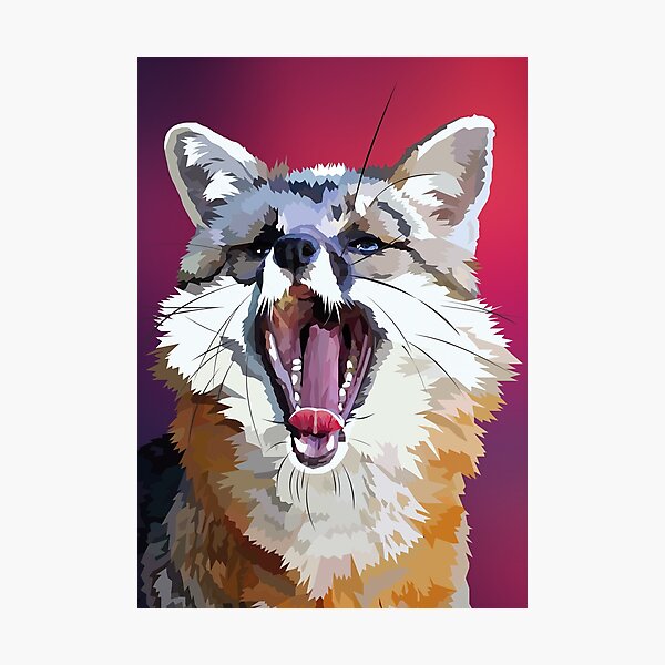 Yawning fox Photographic Print