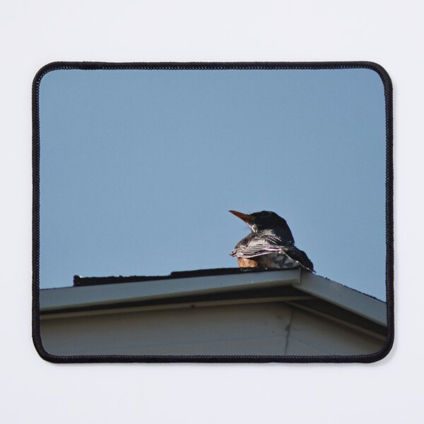 Item preview, American Robin on roof designed and sold by WilesNailsPower.