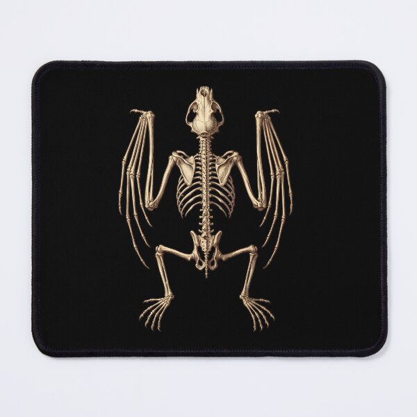 Item preview, Vintage Bat Skeleton Anatomy (Chiroptera) - Dark Academia Scientific Lithograph designed and sold by ObscureBotany.