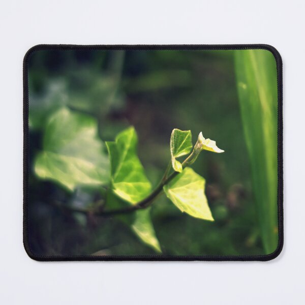 Item preview, small moments in nature designed and sold by Riyou163.