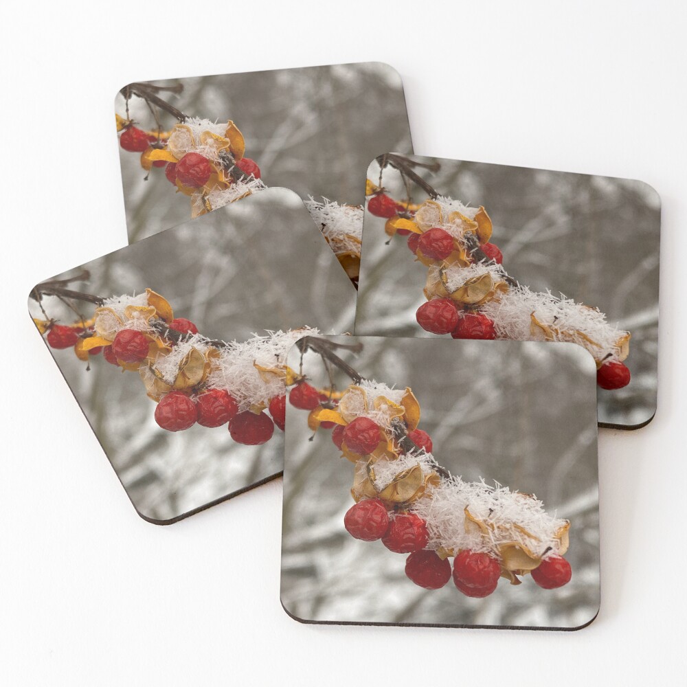 Item preview, Coasters (Set of 4) designed and sold by R-Rayton.