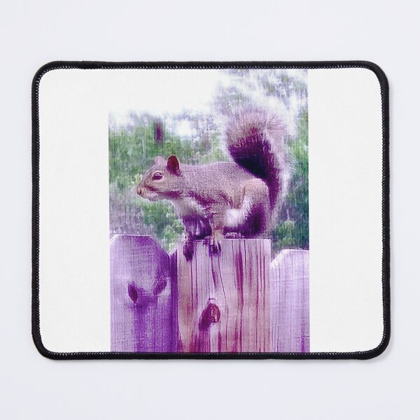 Item preview, Squirrel designed and sold by ROSENDE ART HOUSE.