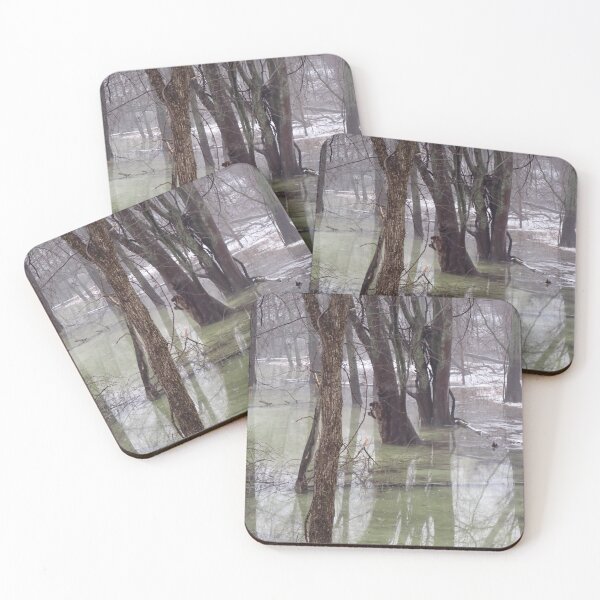 Item preview, Eerie Swamp designed and sold by R-Rayton.