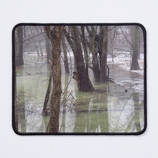 Item preview, Eerie Swamp designed and sold by R-Rayton.