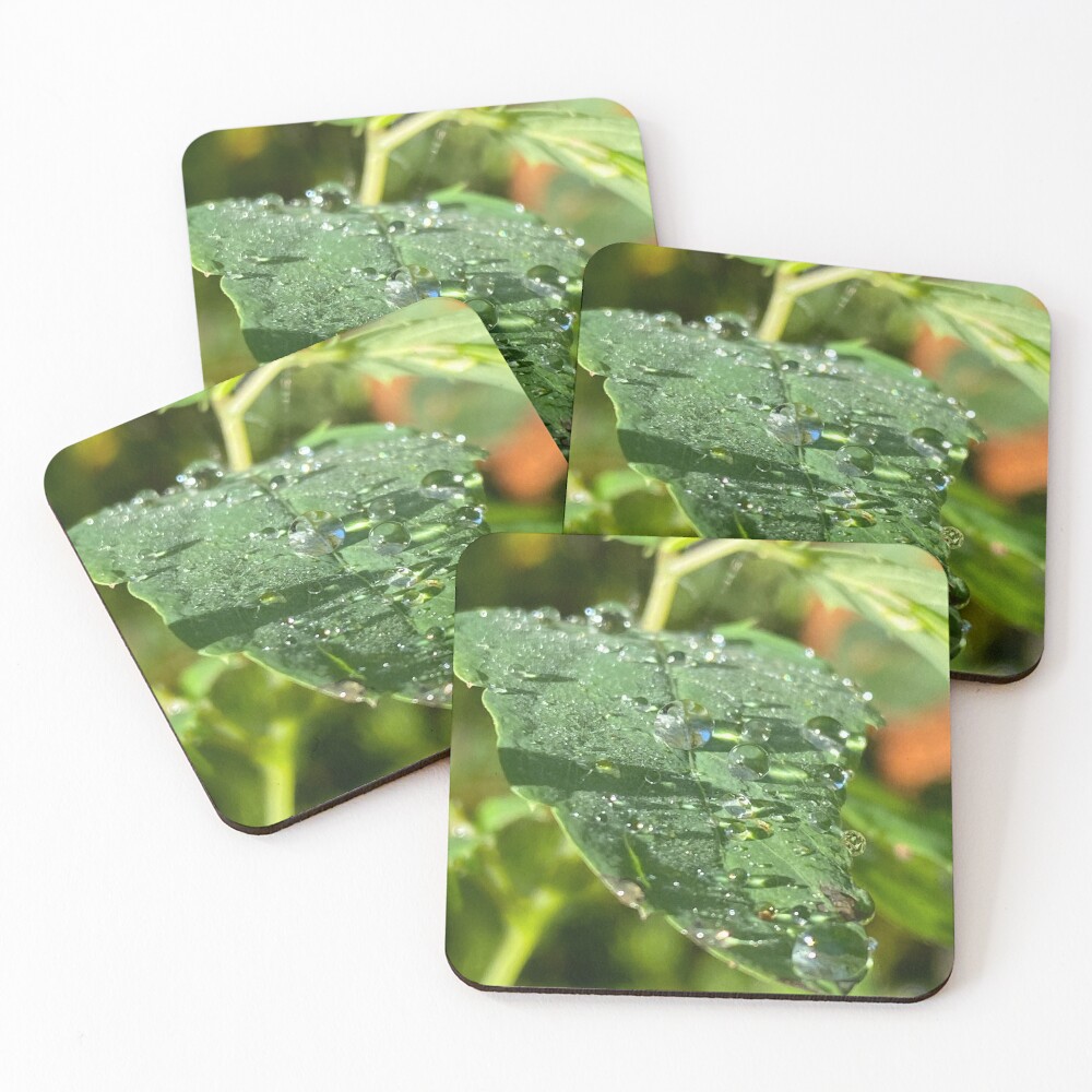 Item preview, Coasters (Set of 4) designed and sold by R-Rayton.